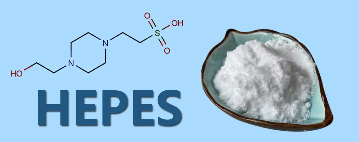 Hydroxyethylpiperazine Ethane Sulfonic Acid sALER.jpg